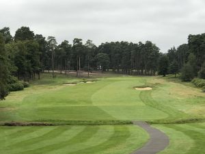 Swinley Forest 1st Path